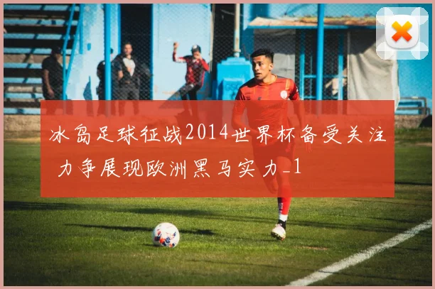 冰岛足球征战2014世界杯备受关注 力争展现欧洲黑马实力_1