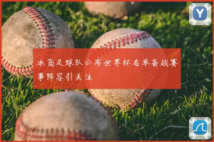 冰岛足球队公布世界杯名单备战赛事阵容引关注