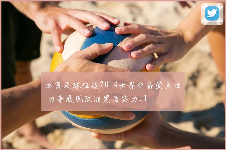 冰岛足球征战2014世界杯备受关注 力争展现欧洲黑马实力_1