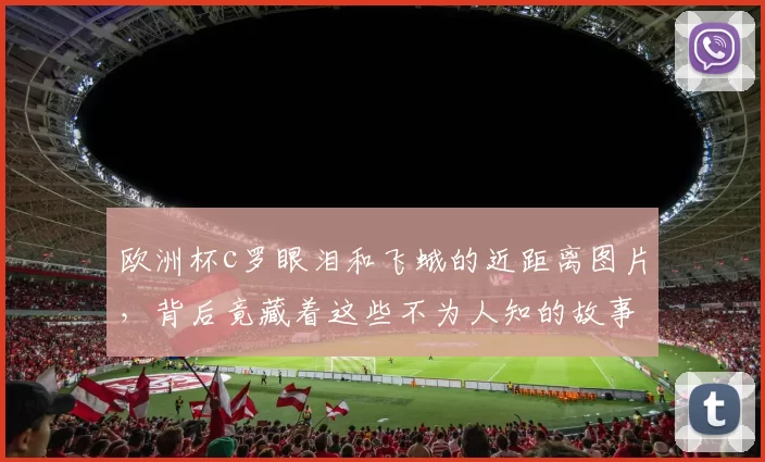 欧洲杯c罗眼泪和飞蛾的近距离图片，背后竟藏着这些不为人知的故事！