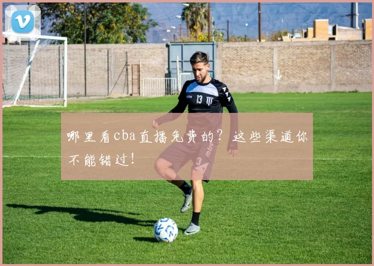 哪里看cba直播免费的？这些渠道你不能错过！