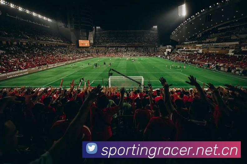 华体育app官网登录入口平台生态图